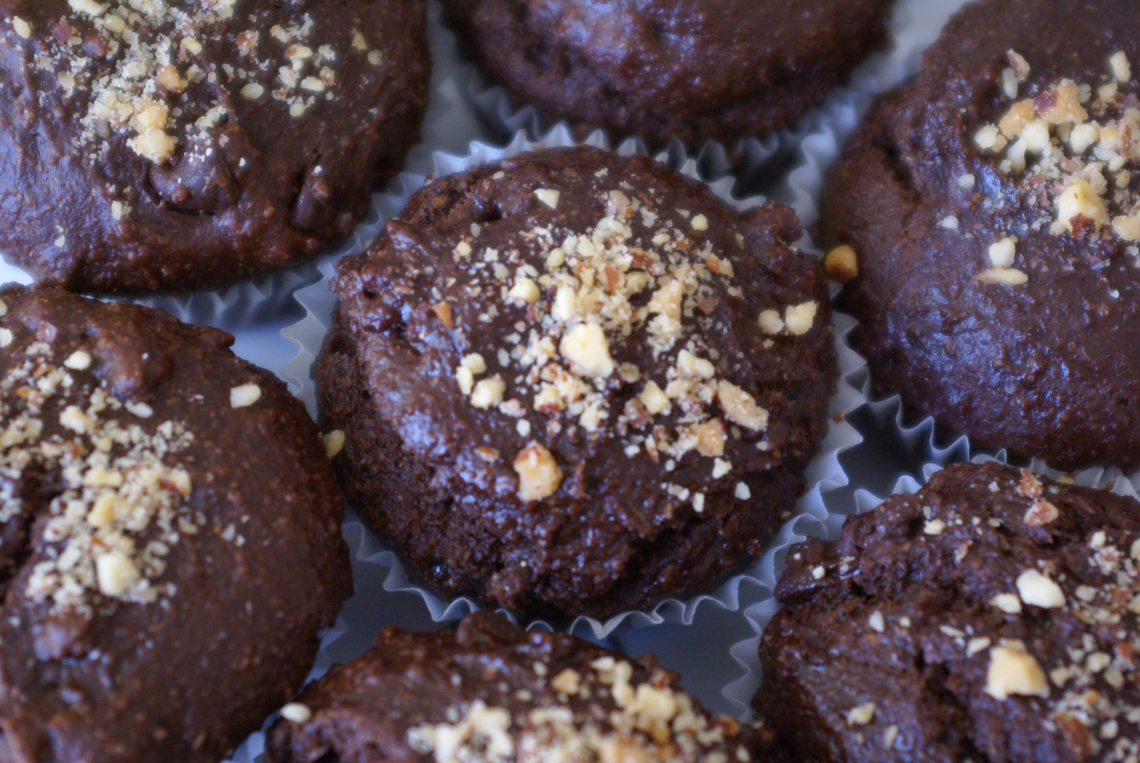 Chocolate Muffins