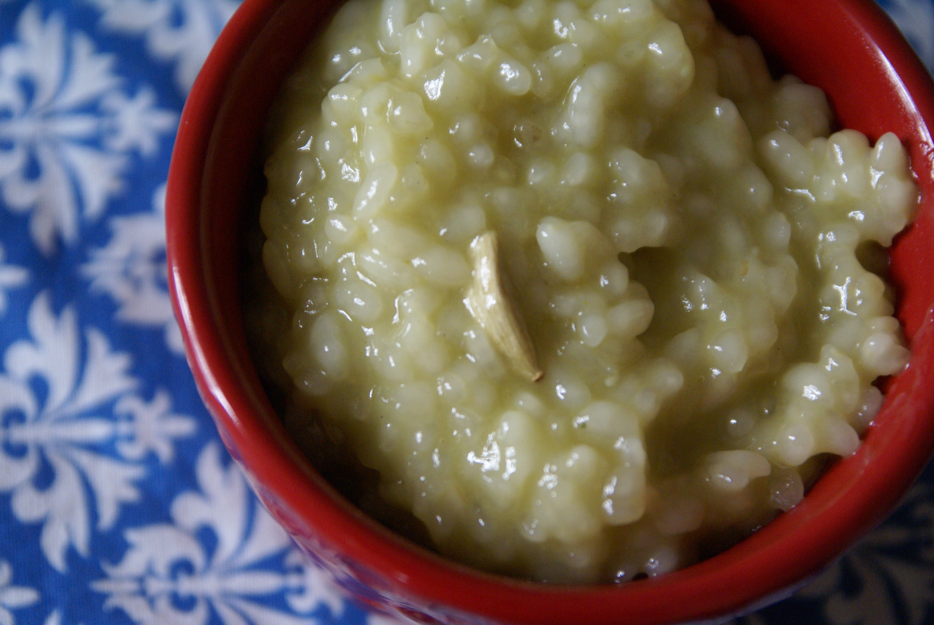 Coconut Milk Rice Pudding